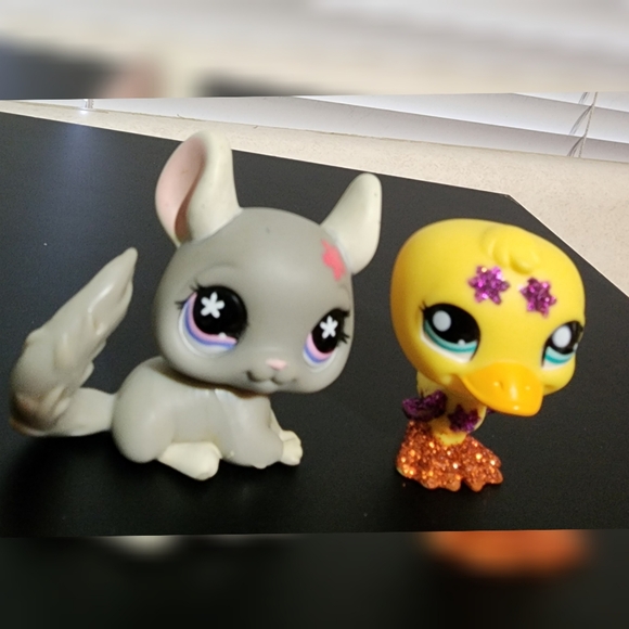 Littlest Pet Shop Authentic Bundle  (10) - Picture 4 of 11